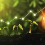 Growth ideas from qyndorath