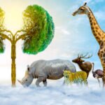 How to find your spirit animal
