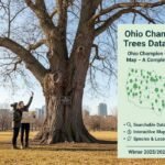 ohio champion trees database ohio champion trees map