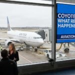 coyote strike united airlines flightcoyote strike united airlines flight