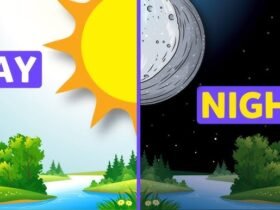 How to pronounce nighttime