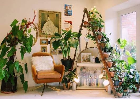 Gardenweb