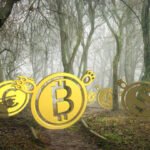 A New Path for BTC Reward Strategies