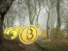 A New Path for BTC Reward Strategies
