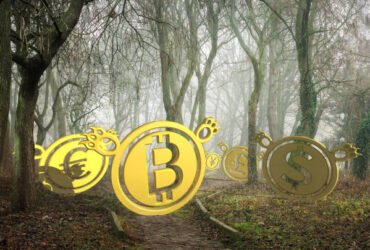 A New Path for BTC Reward Strategies