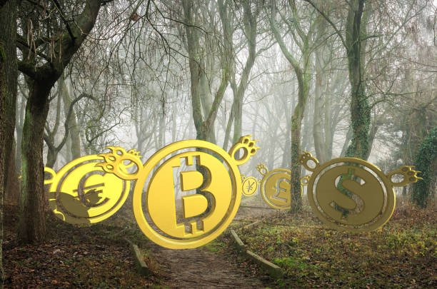 A New Path for BTC Reward Strategies