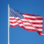 flagbeez com