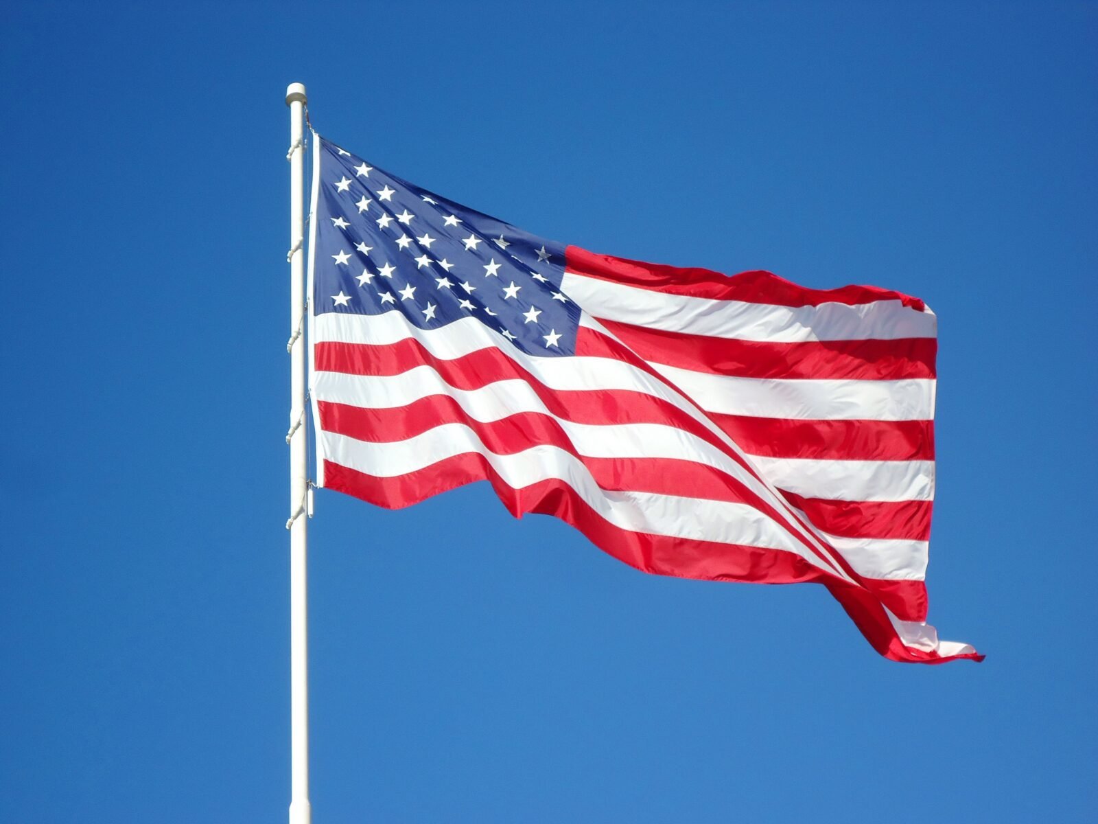 flagbeez com