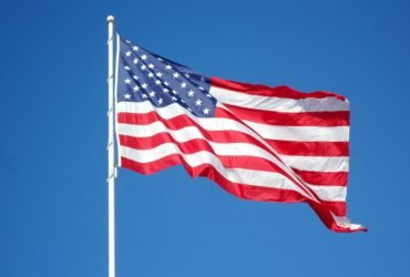 flagbeez com